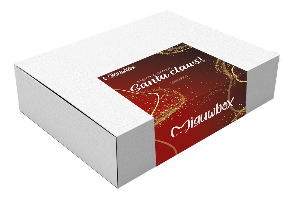 Kerst verrassingsbox voor kat