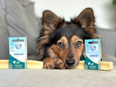 Chhurpi's