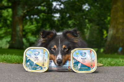 Biologisch vers gestoomd