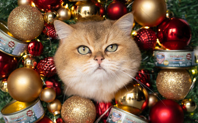 Kerst