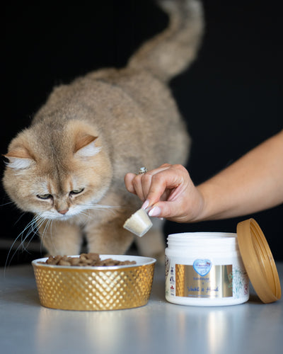 Golddust Heal Supplementen