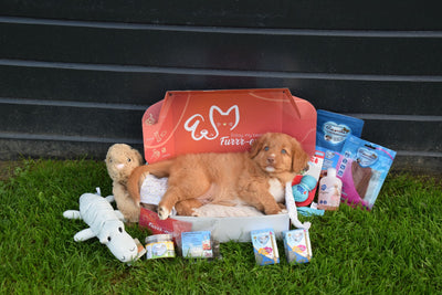 Woefbox & Miauwbox