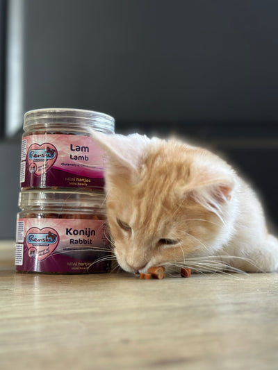 Kattensnacks