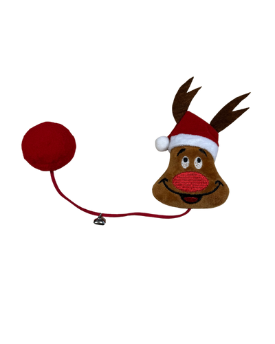 Reindeer - kat