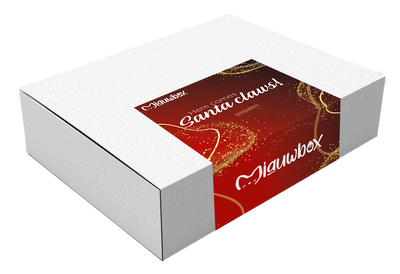 Kerst verrassingsbox voor kat