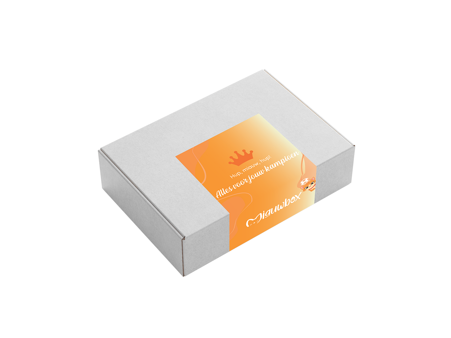 Oranje verrassingsbox voor kat | MiauwBox