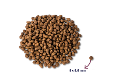Renske Super Premium - Kitten - Fresh Turkey with Chicken