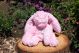 Cozy Dog Bunny Roze